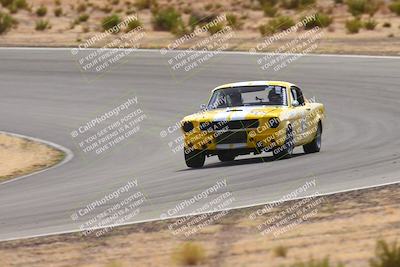 media/Oct-25-2025-West Coast Racing (Sat) [[9fdcbcd09c]]/Yellow group/Turn 3/